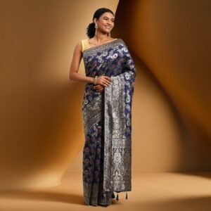 Banarasi Patola Saree